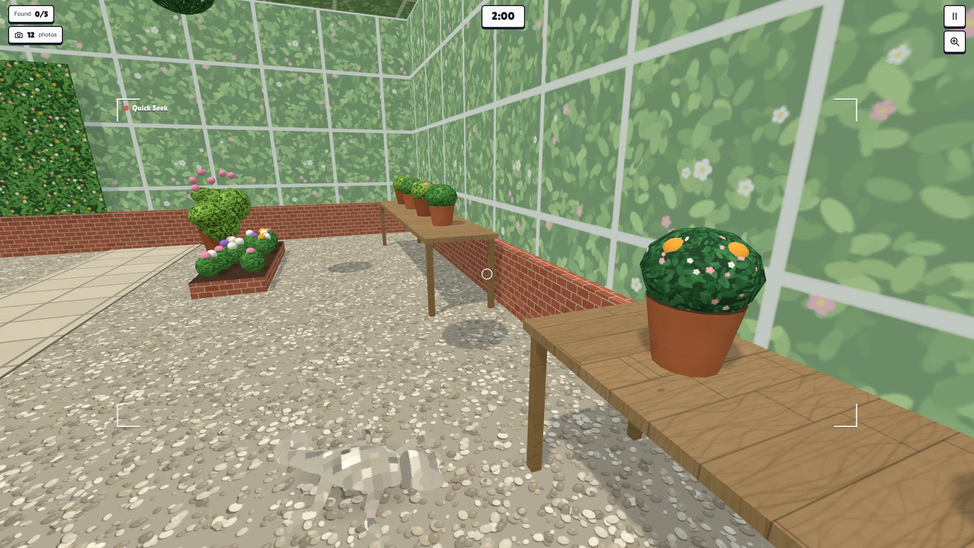 Screenshot of Camera Shy as it opens in the browser